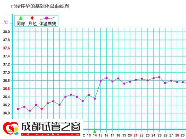 备孕期必看排卵期体温曲线图，准确测定每一天排卵状态(图2)